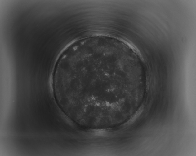 X0000101100798200807101446