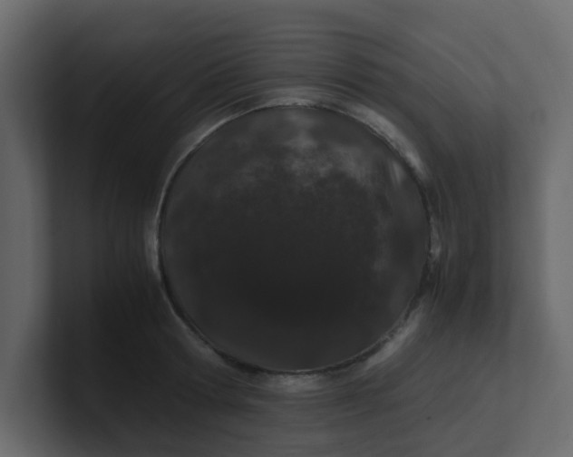 X0000101100802200807101446