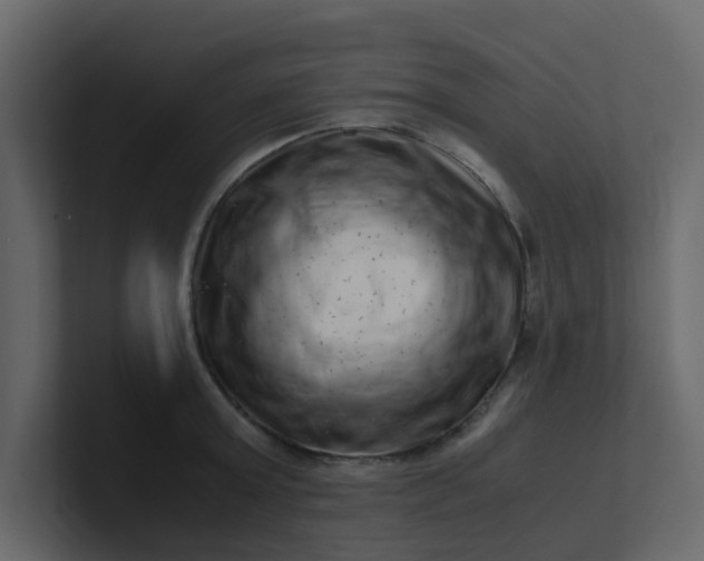 X0000101100803200807101446