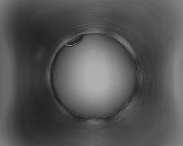 X0000101100805200807101446