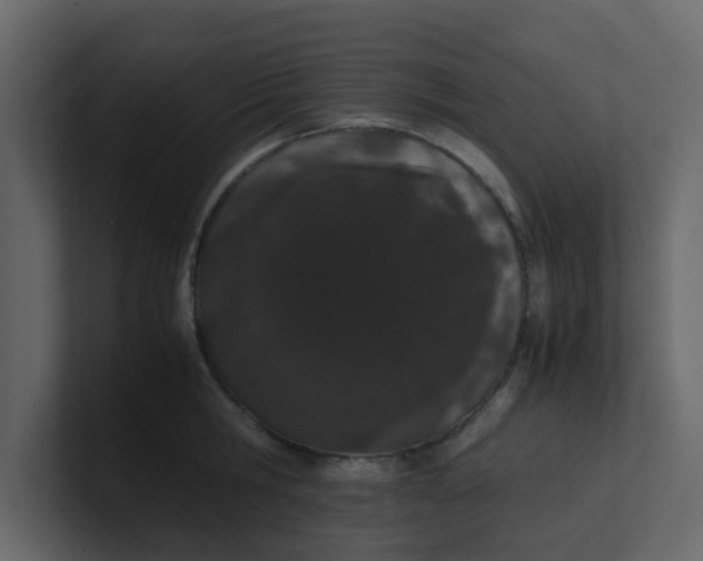 X0000101100806200807101446