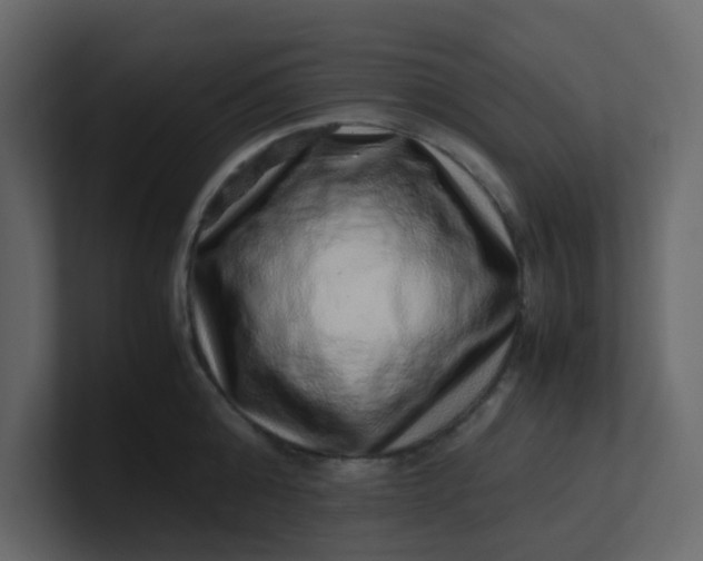X0000101100808200807101446