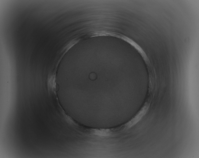 X0000101100809200807101446