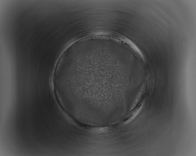 X0000101100810200807101446