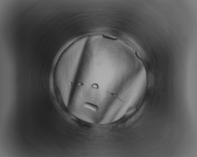 X0000101100812200807101446