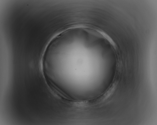 X0000101100813200807101446