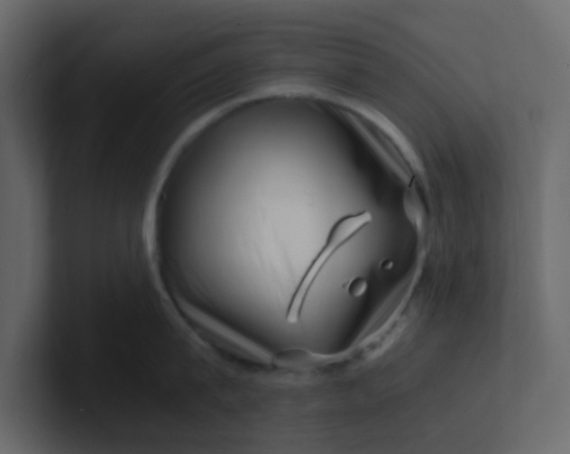 X0000101100815200807101446