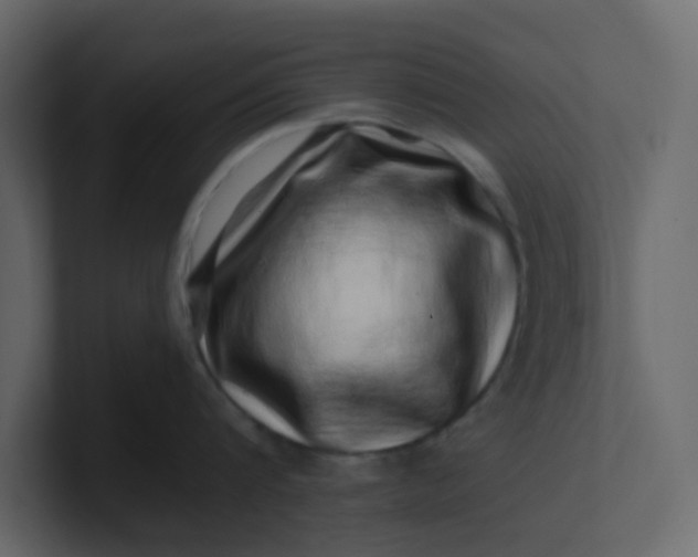 X0000101100816200807101446
