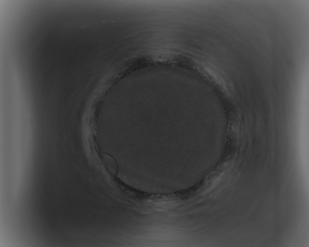 X0000101100817200807101445