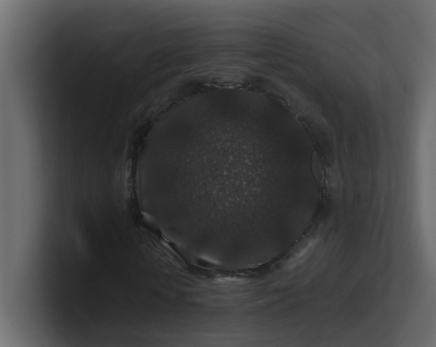 X0000101100818200807101445