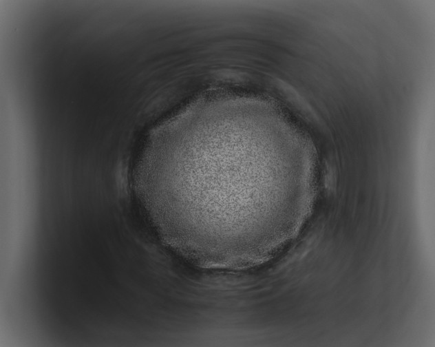 X0000101100819200807101445