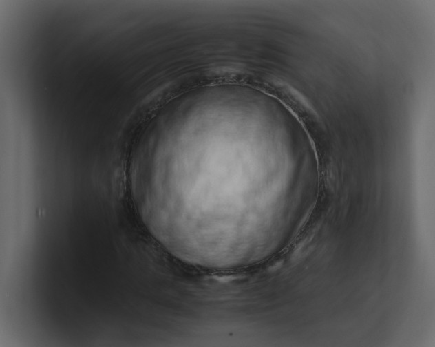 X0000101100821200807101445