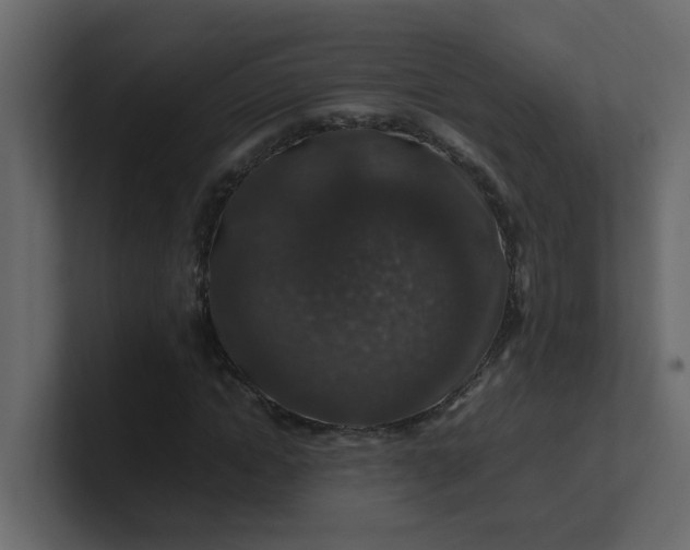 X0000101100822200807101445