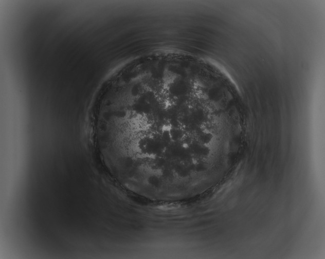X0000101100823200807101445