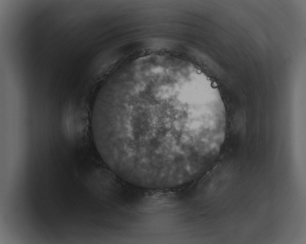 X0000101100824200807101445