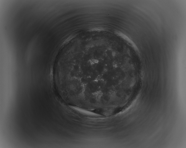 X0000101100825200807101445