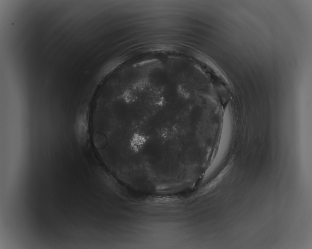 X0000101100826200807101445