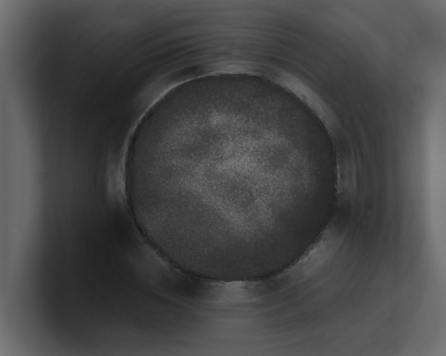 X0000101100828200807101445