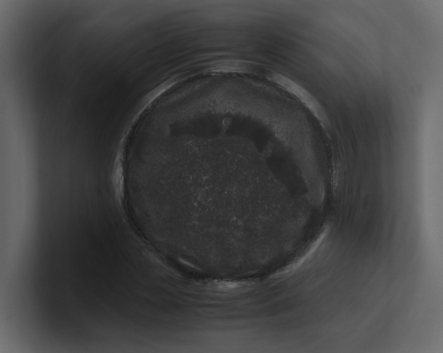 X0000101100829200807101445