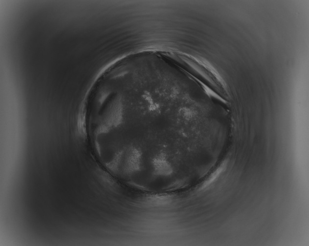 X0000101100830200807101445
