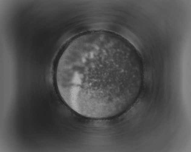 X0000101100832200807101445