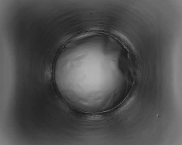 X0000101100833200807101445