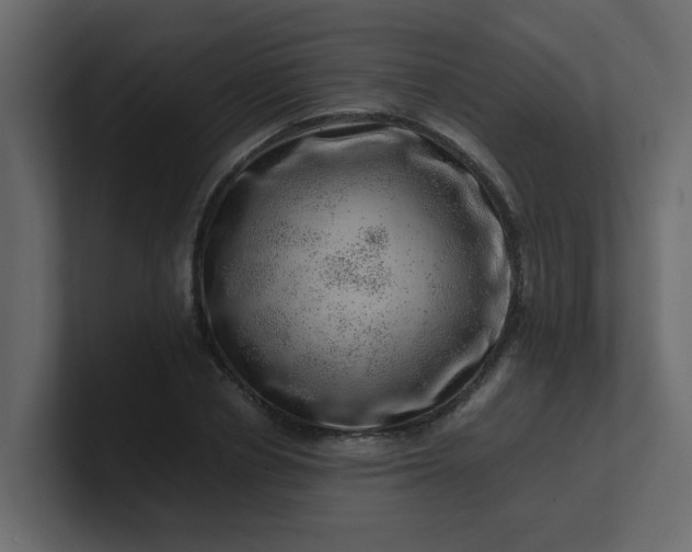 X0000101100834200807101445