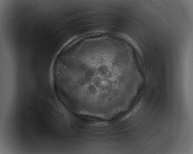 X0000101100835200807101445