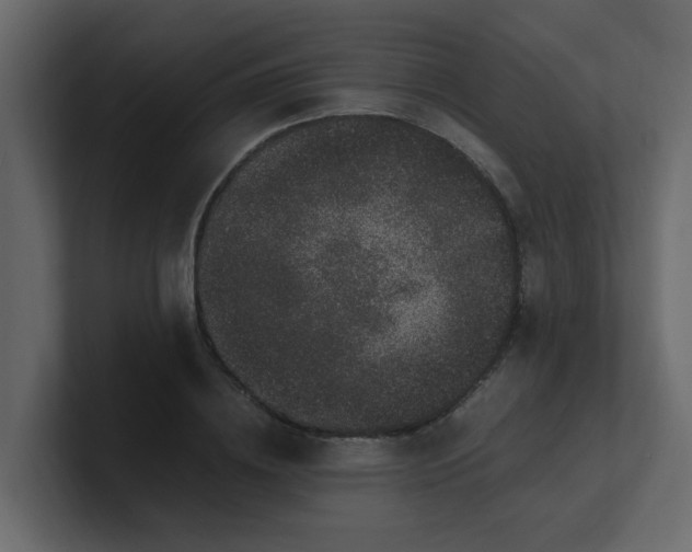 X0000101100836200807101445