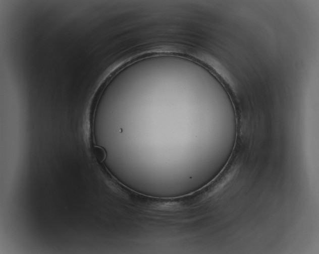 X0000101100837200807101445