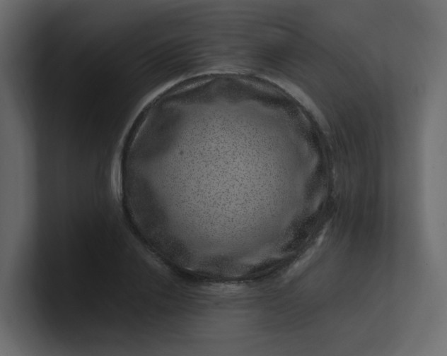 X0000101100838200807101445