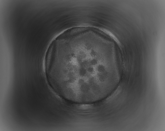 X0000101100839200807101445
