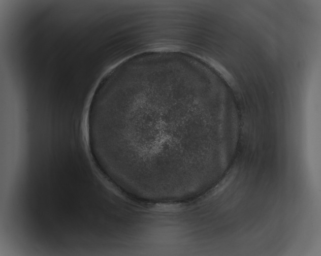 X0000101100840200807101445