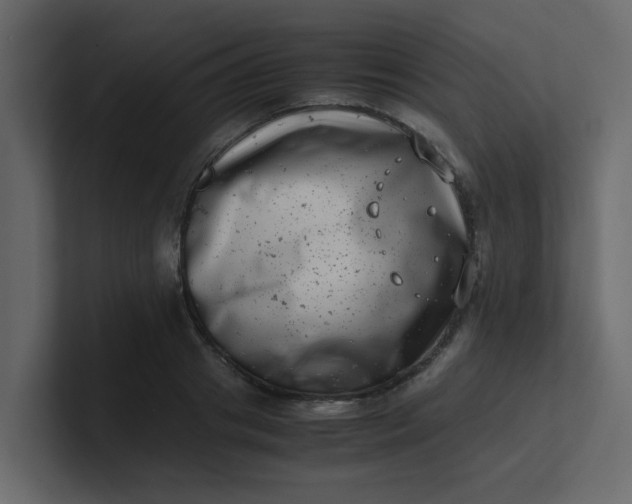 X0000101100841200807101445
