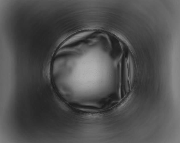 X0000101100842200807101445