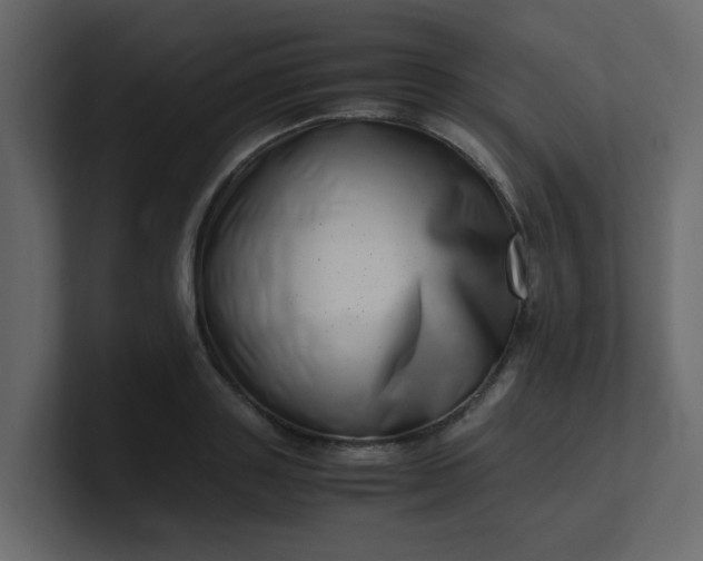 X0000101100843200807101445