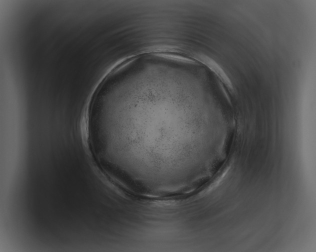 X0000101100844200807101445