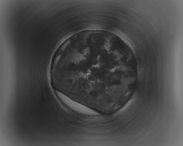 X0000101100845200807101445