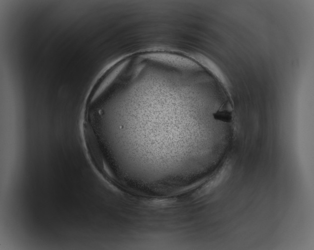 X0000101100847200807101445