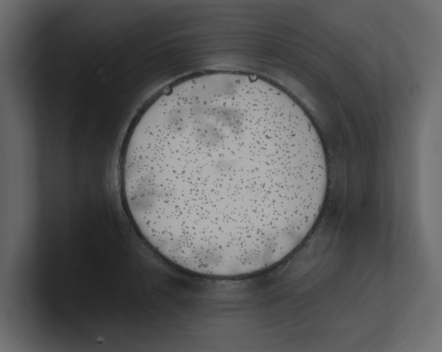 X0000101100848200807101445