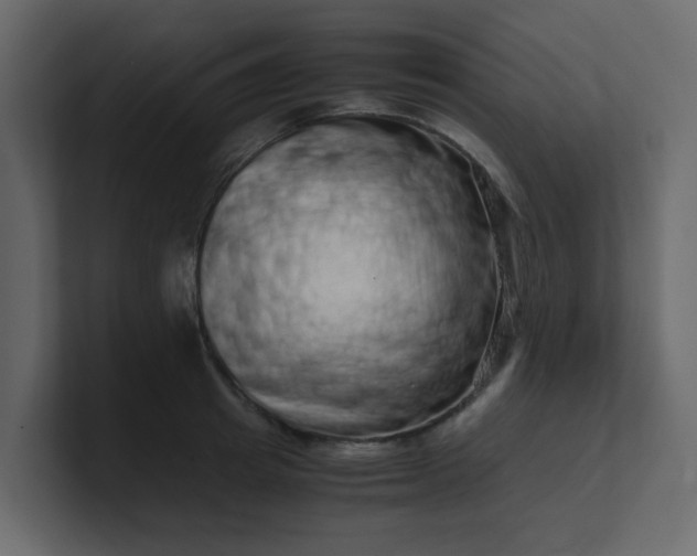 X0000101100849200807101446