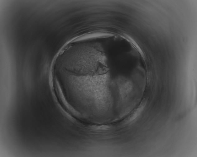 X0000101100851200807101446