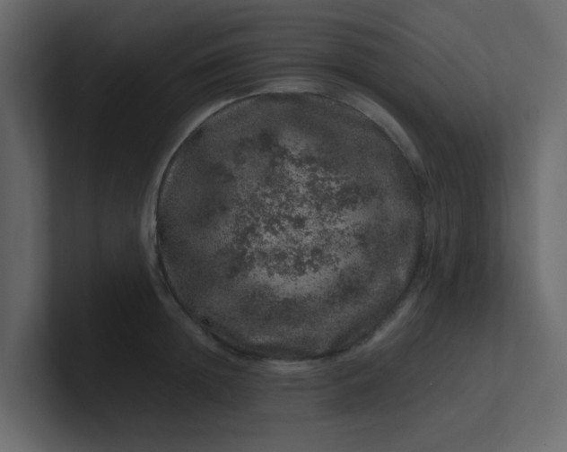 X0000101100852200807101446
