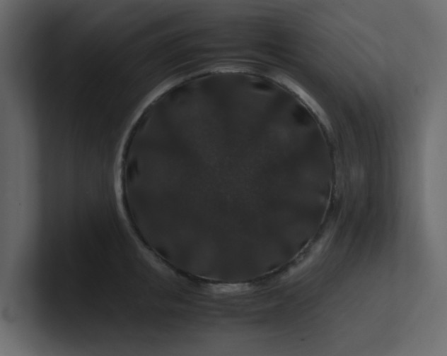 X0000101100853200807101446