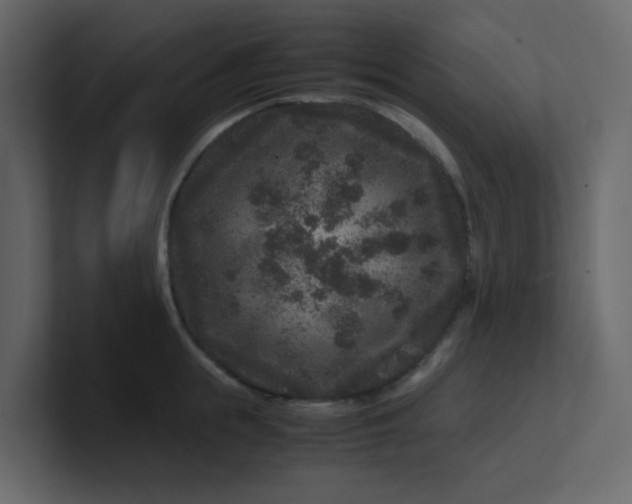 X0000101100855200807101446