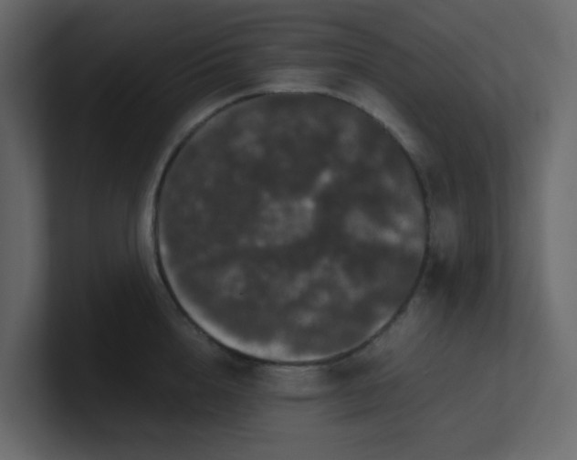 X0000101100856200807101446