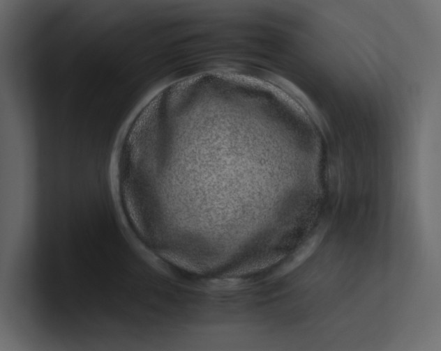 X0000101100859200807101446