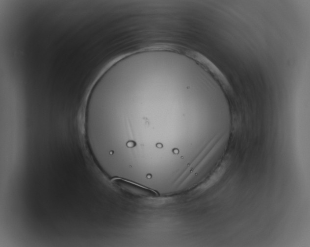 X0000101100860200807101446