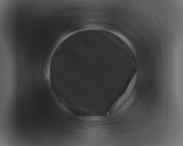 X0000101100862200807101446