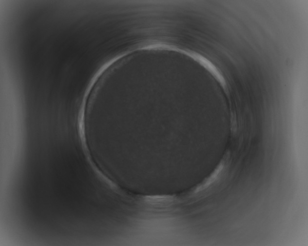 X0000101100863200807101446